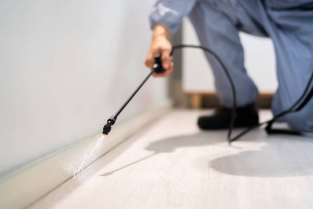 Rodent Entry Point Assessment in American Fork