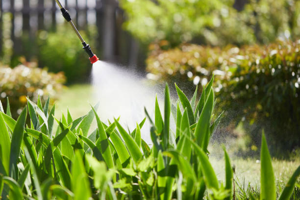 Tamper-Resistant Bait Stations for Rodents in American Fork